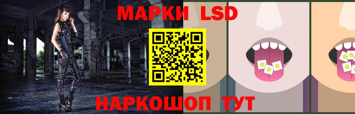 A PVP Новокубанск