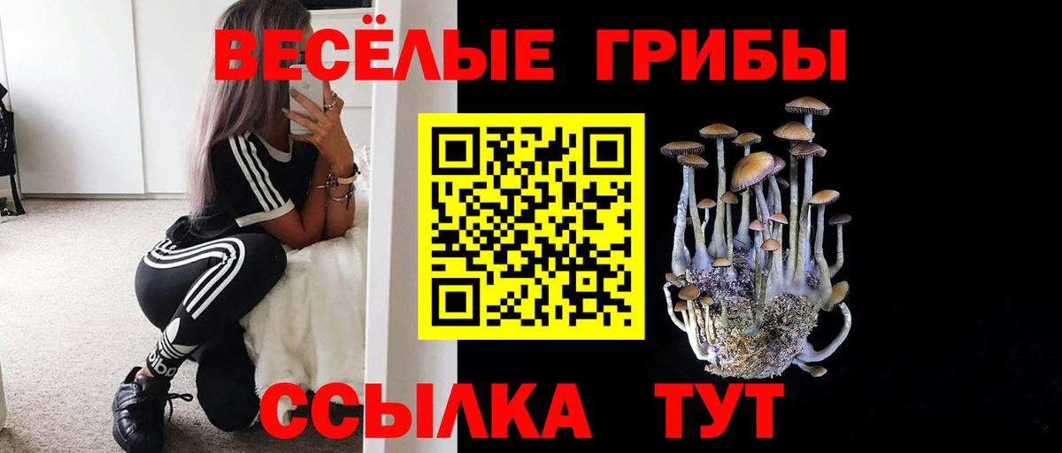 Псилоцибиновые грибы прущие грибы Новокубанск